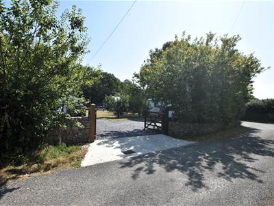 Picture 23